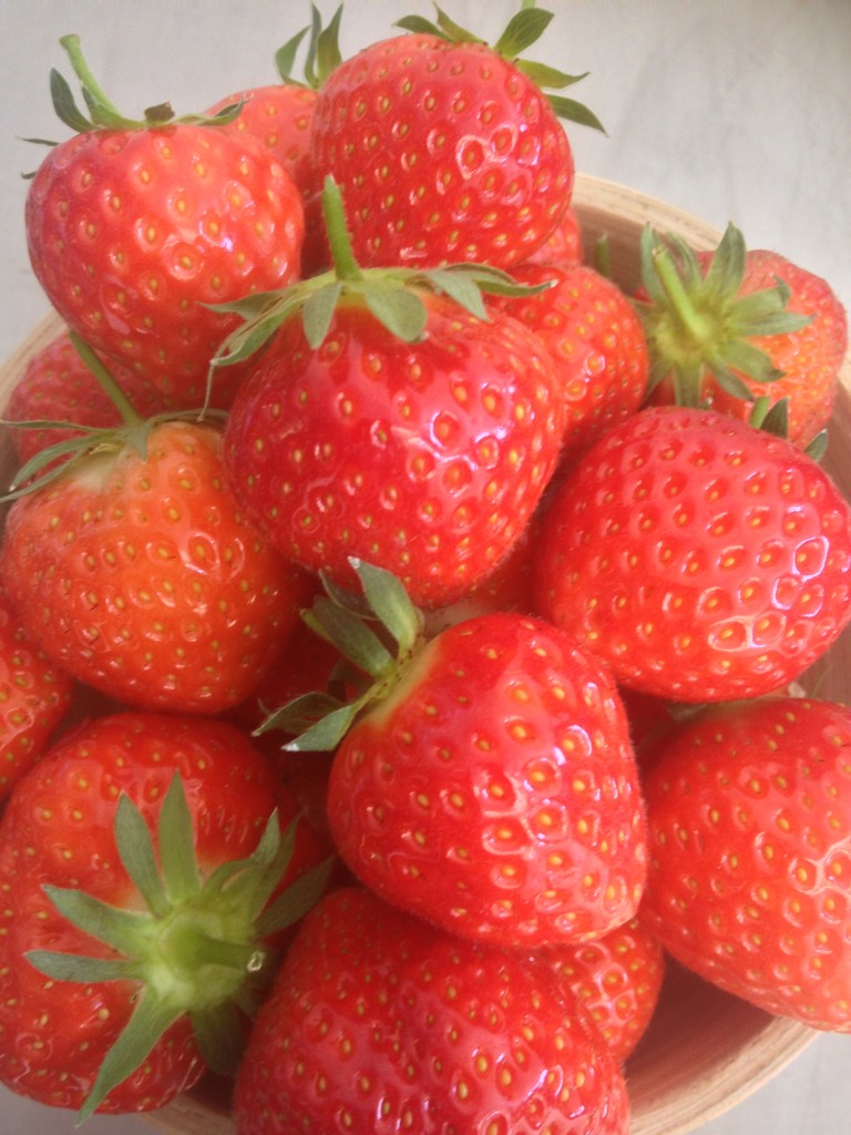 Farm Fresh Strawberries North Wales