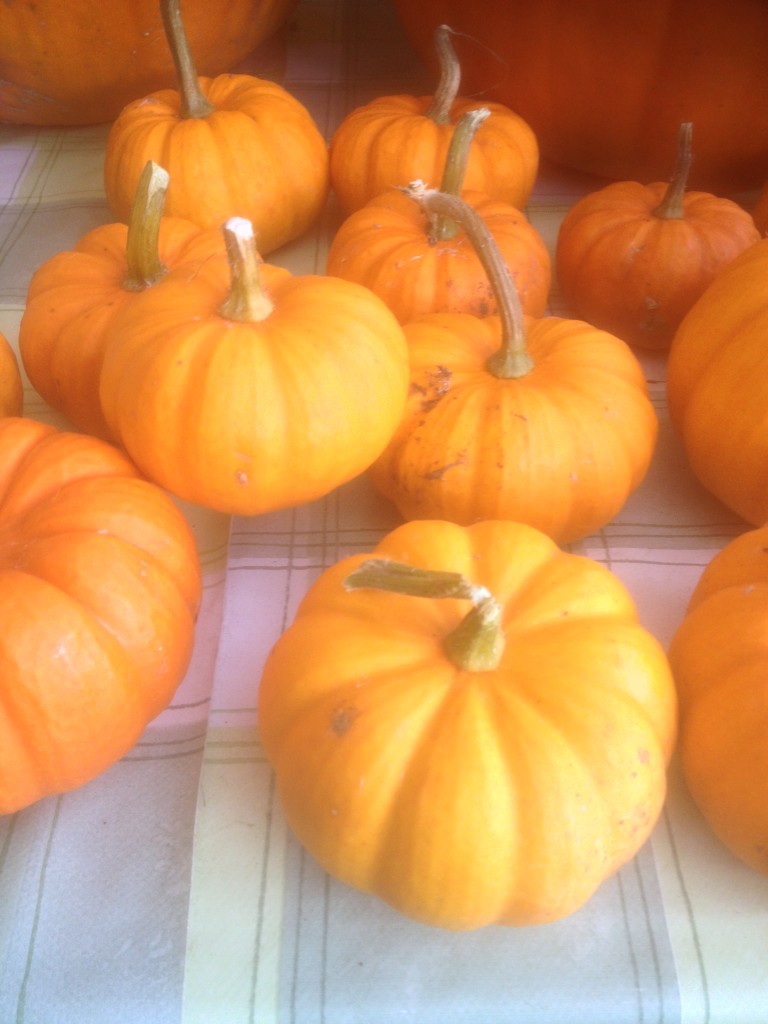 Homegrown pumpkins