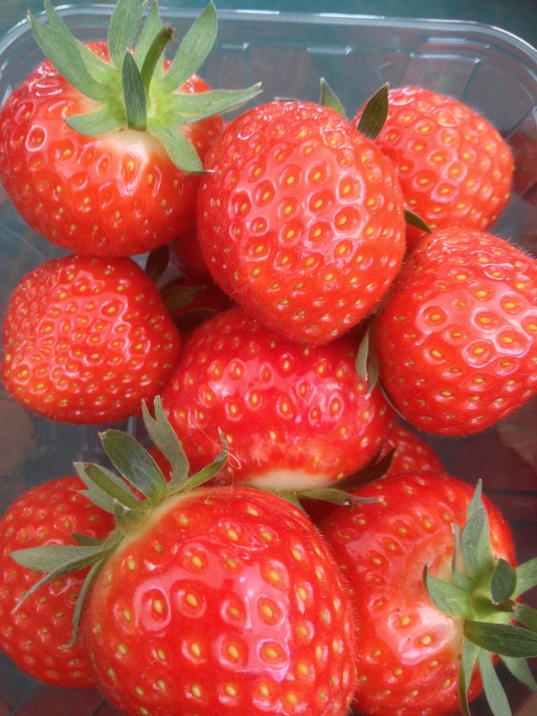 Pick your own strawberries